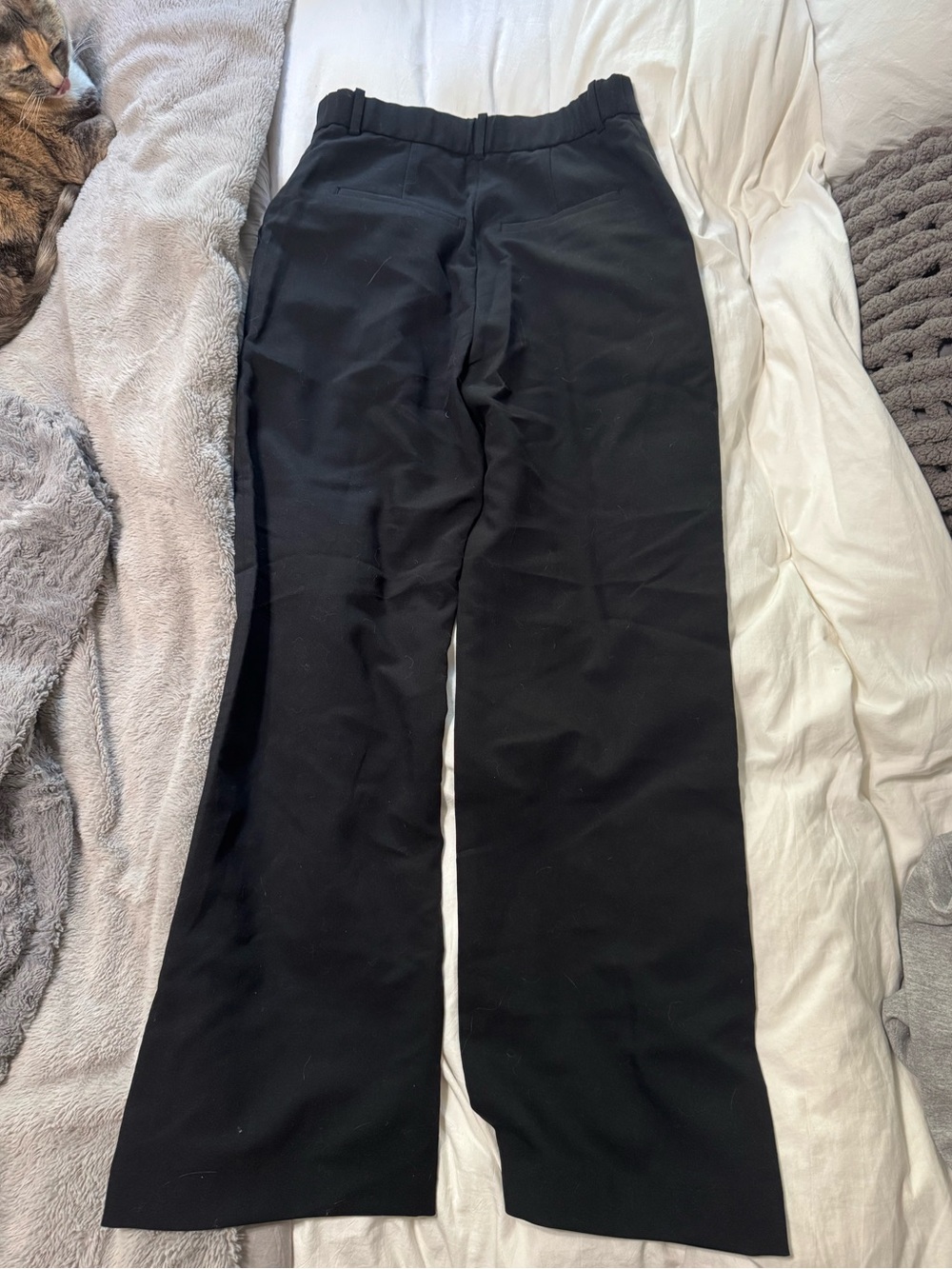 Abercrombie & Fitch Tailored Pants - Picture 3 of 4